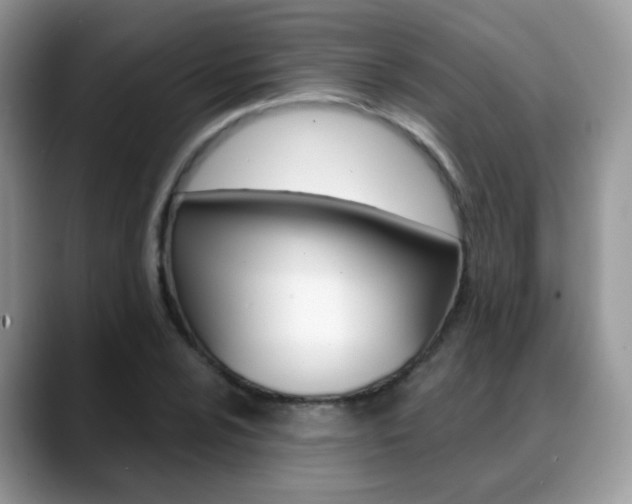 X0000088881024200706080737