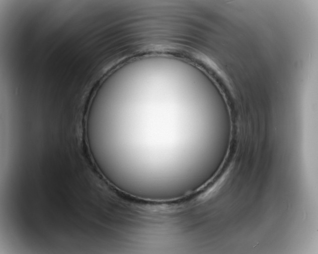 X0000088881025200706080737