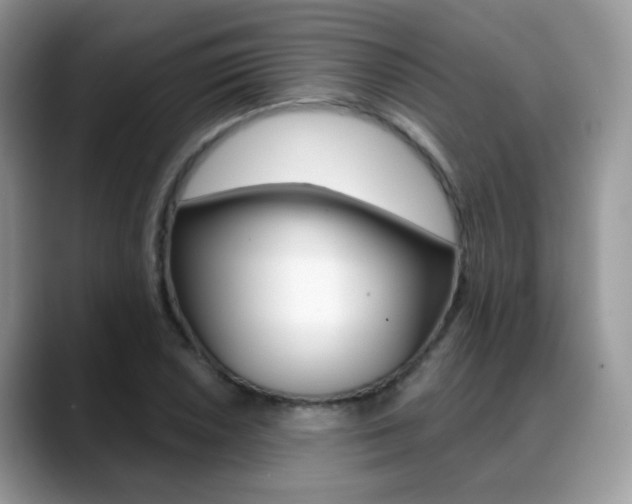 X0000088881026200706080737