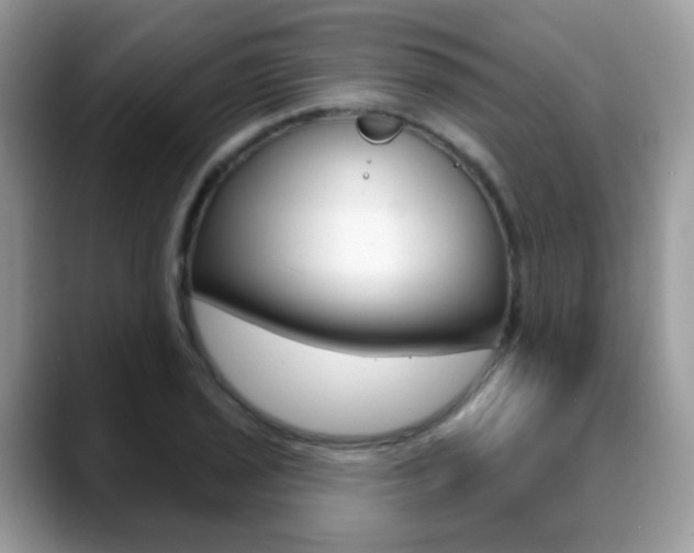 X0000088881029200706080737