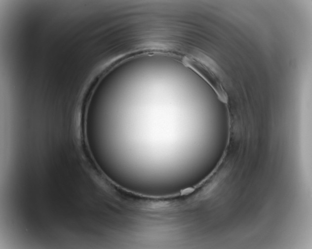 X0000088881030200706080737
