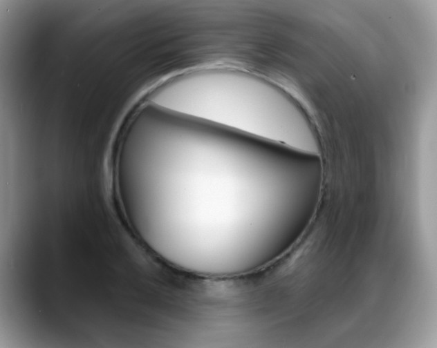 X0000088881032200706080737