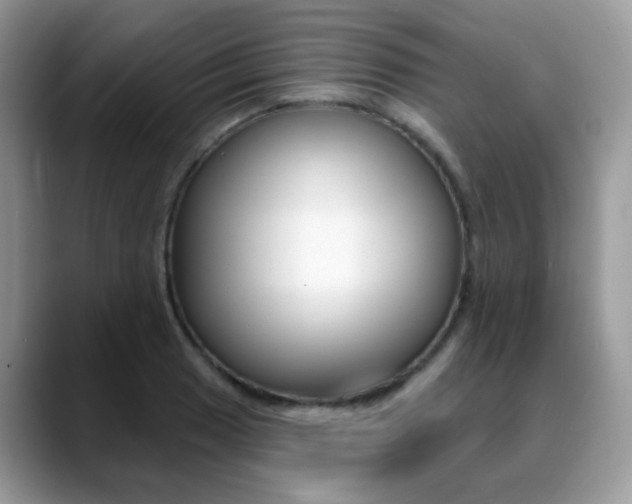 X0000088881033200706080737