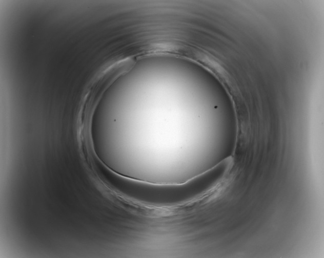 X0000088881034200706080737