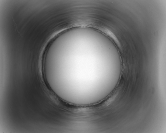 X0000088881035200706080737