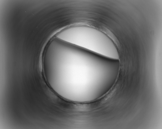 X0000088881036200706080737