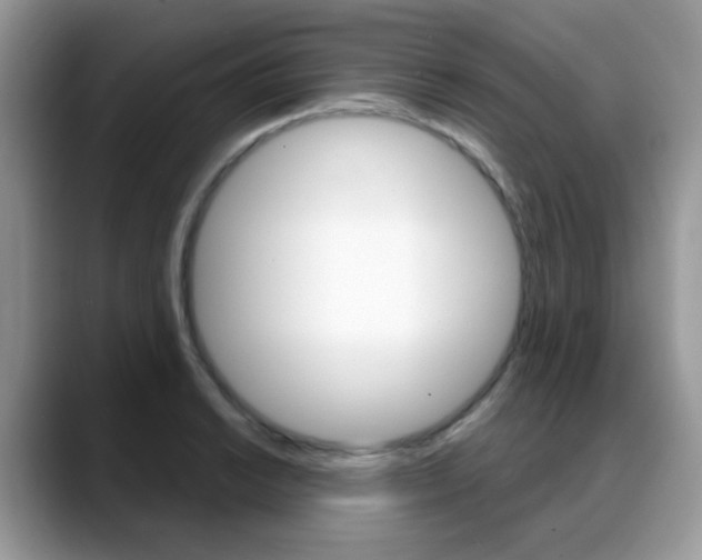 X0000088881038200706080737