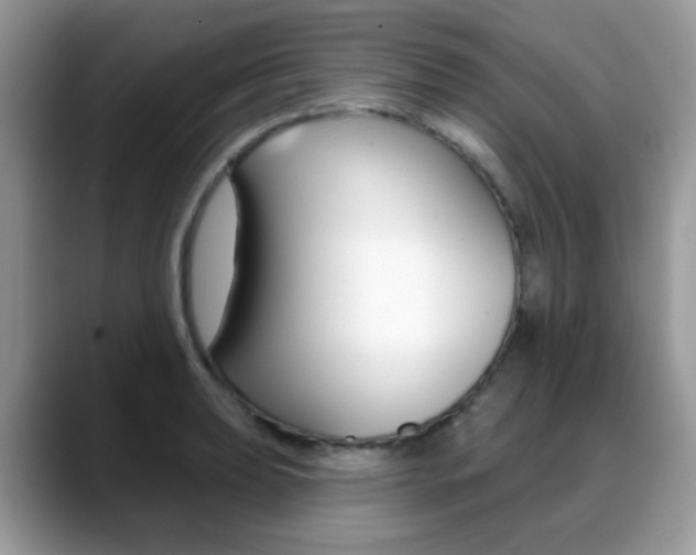 X0000088881039200706080737