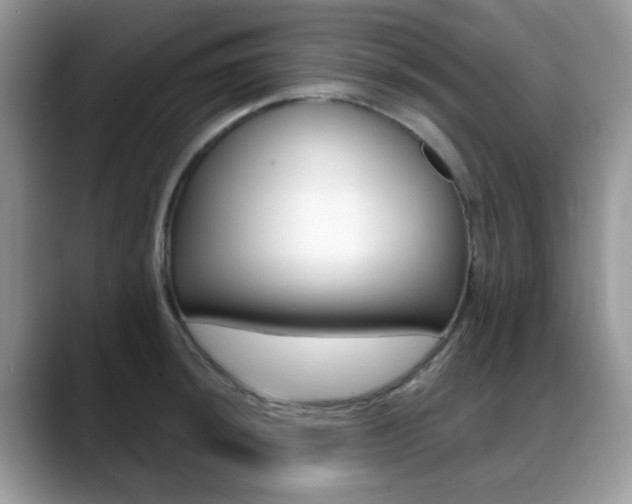 X0000088881044200706080737