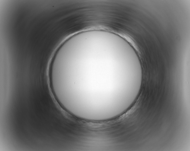 X0000088881046200706080737