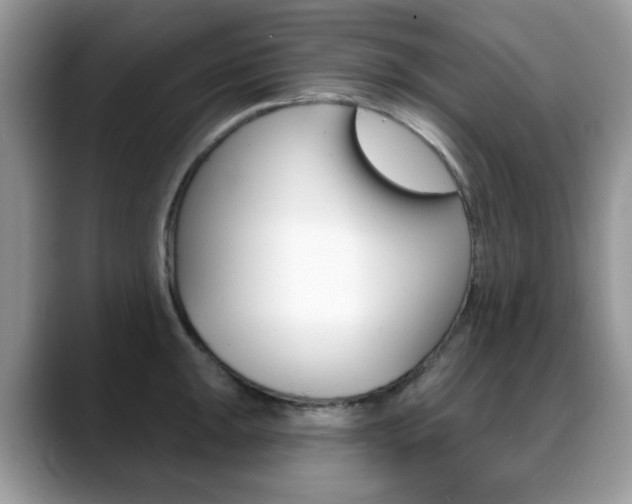 X0000088881047200706080737
