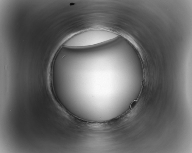 X0000088881048200706080737