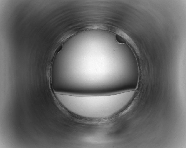 X0000088881049200706080737