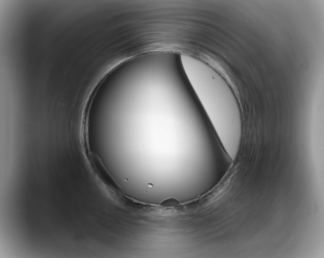 X0000088881050200706080737