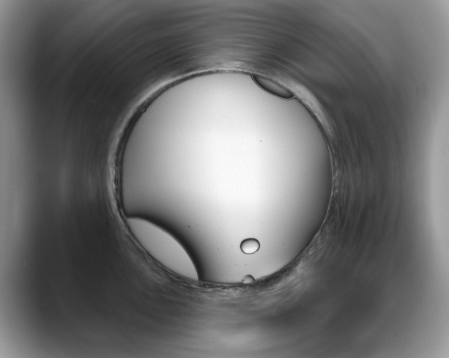 X0000088881051200706080737