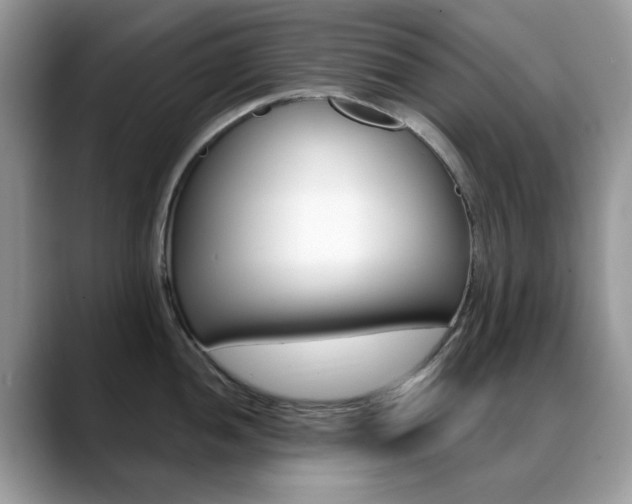 X0000088881052200706080737