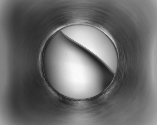 X0000088881053200706080737