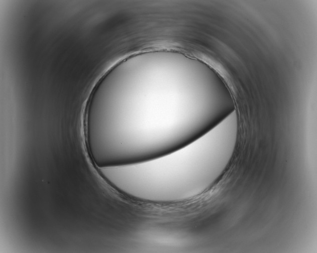 X0000088881055200706080737