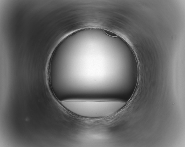 X0000088881056200706080737
