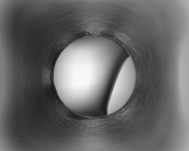 X0000088881060200706080736