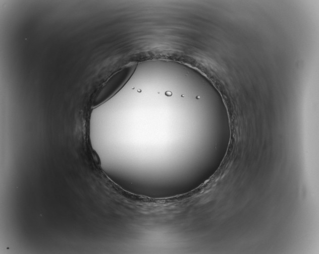 X0000088881061200706080736
