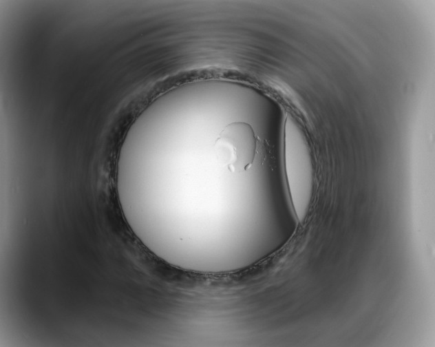 X0000088881064200706080736