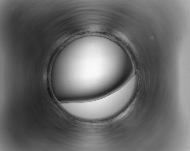 X0000088881065200706080736