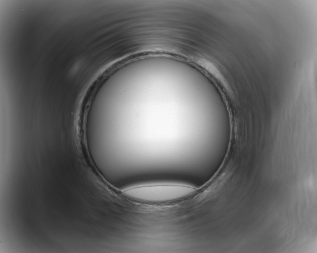 X0000088881068200706080736