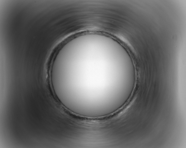 X0000088881070200706080736