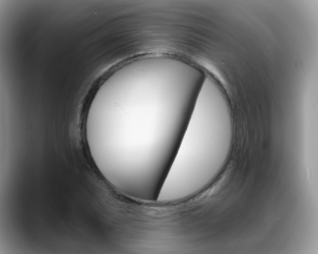 X0000088881071200706080736