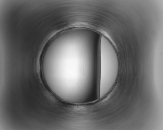 X0000088881082200706080736