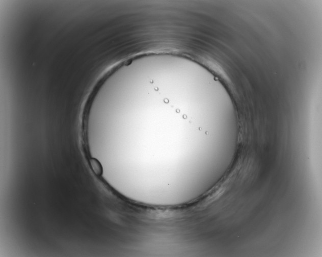 X0000088881087200706080736