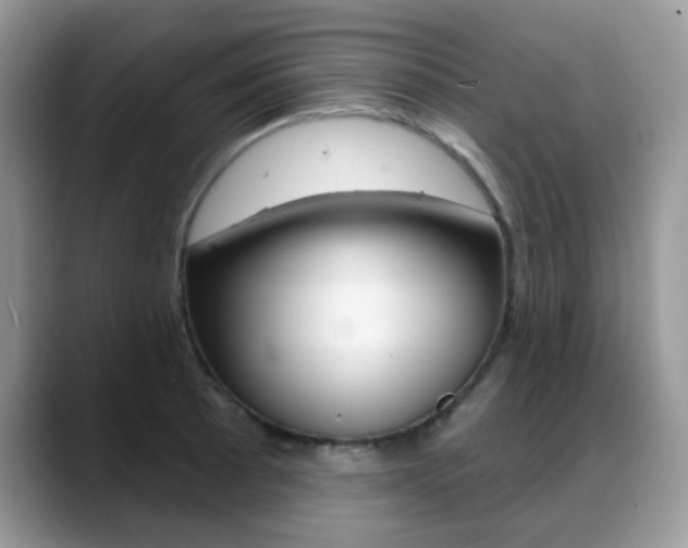 X0000088881089200706080736