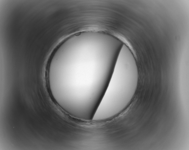 X0000088881091200706080736