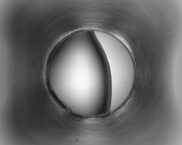 X0000088881093200706080736