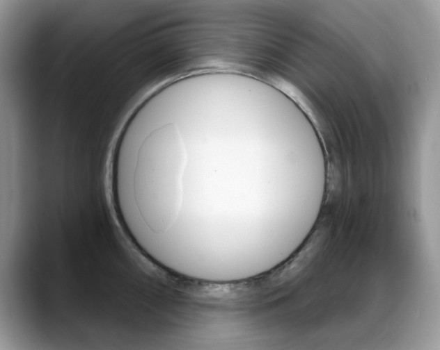 X0000088881098200706080736