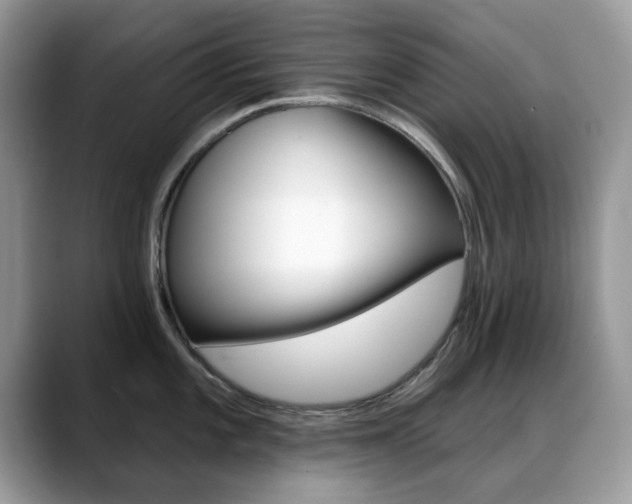 X0000088881101200706080736