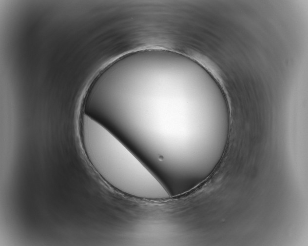 X0000088881104200706080736