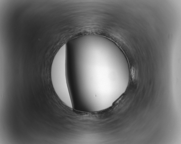 X0000088881107200706080735