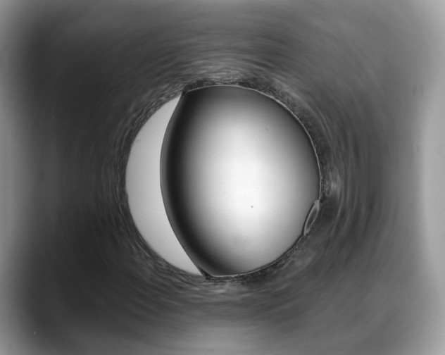 X0000088881108200706080735