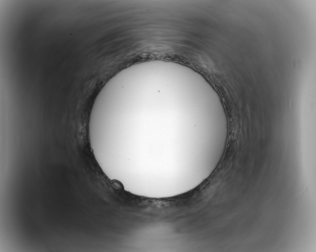 X0000088881109200706080735