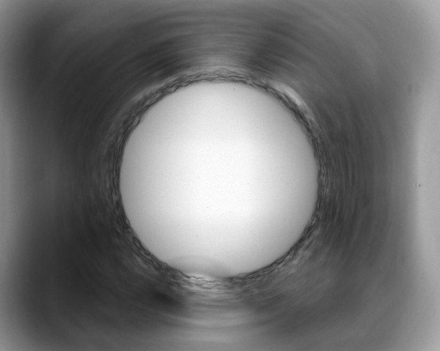 X0000088881112200706080735