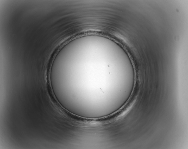 X0000088881113200706080735