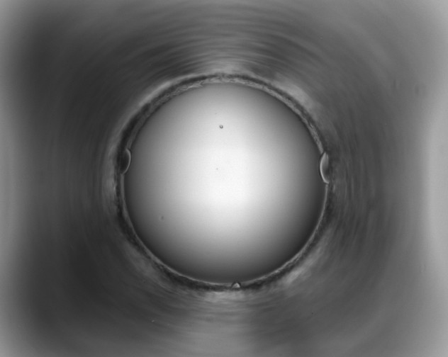 X0000088881118200706080735