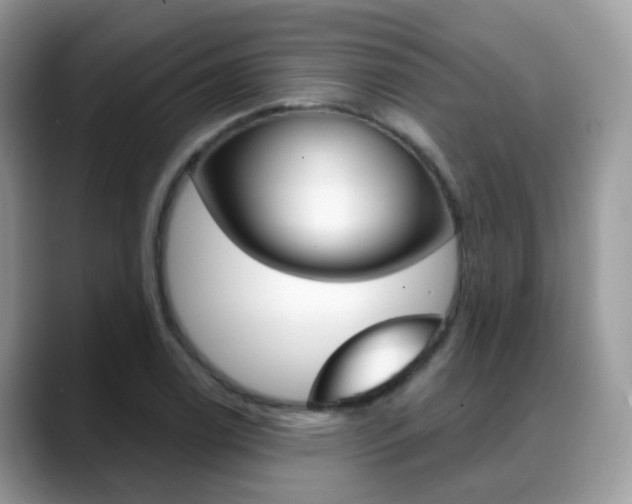X0000088881122200706080735