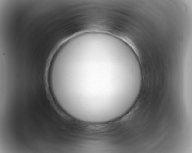 X0000088881128200706080735