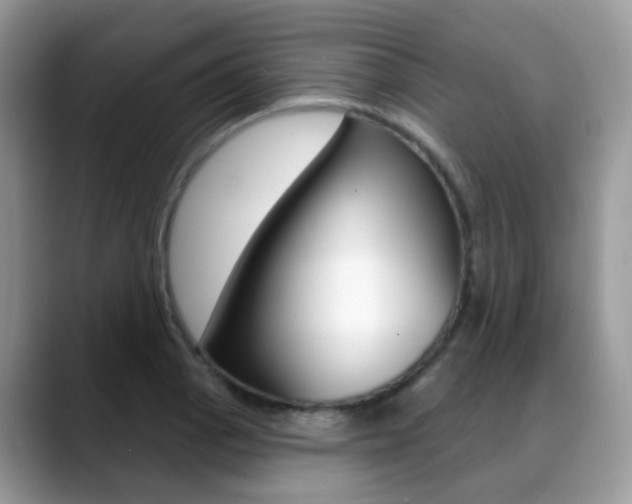 X0000088881129200706080735