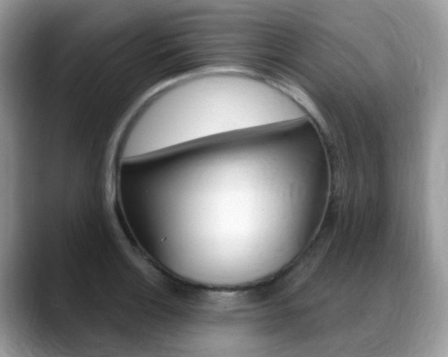 X0000088881132200706080736