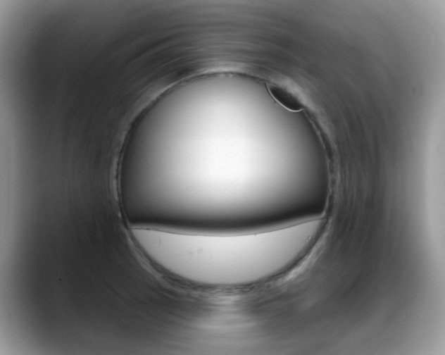 X0000088881137200706080736