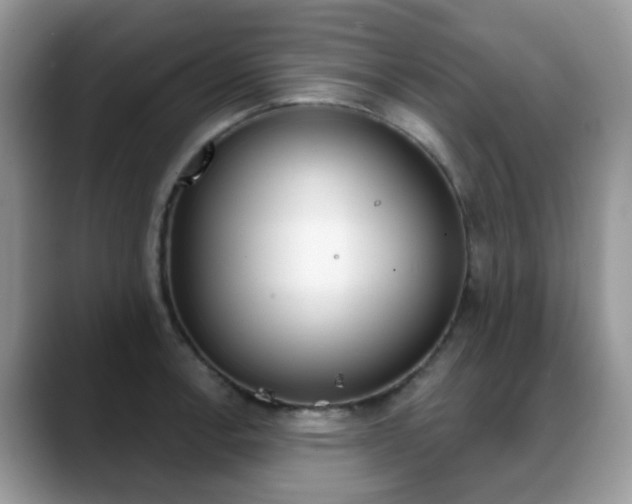 X0000088881138200706080736
